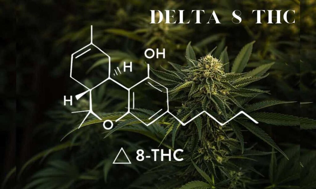 Delta-8 THC